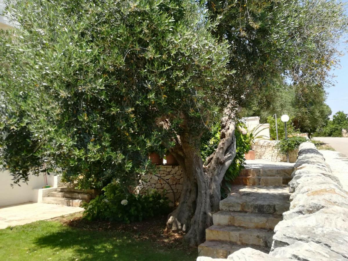 Residenza Aurora Aparthotel Ostuni Buitenkant foto